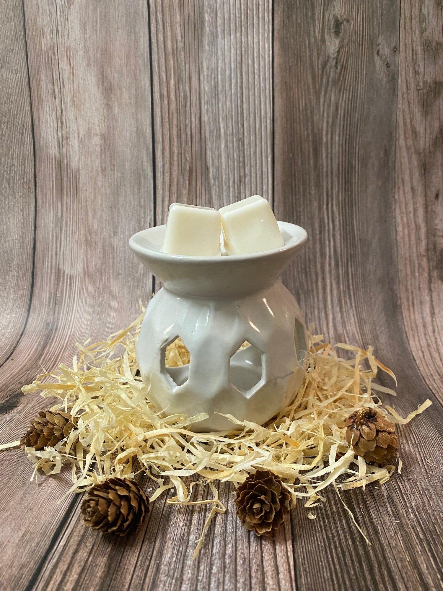 WAX MELT WARMERS